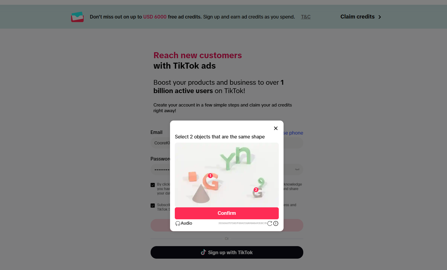 TikTok Ads email or phone registration page